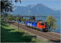 Nach etlichen Jahrzehnten (!) habe ich nun bemerkt, dass auf der Rhonetalline kurz vor Villeneuve bei Kilometer 28.4 im Hochsommer die Sonne die Osten kommenden Züge ins richtige Licht setzt. Lieder etwas zu spät um davon zu profitieren, denn der Hochsommer ist schon vorbei...
Trotzdem zeigt sich die SBB Cargo Re 620 083-6  Amsteg Silenen  auf dem Weg nach Lausanne in ihren schönsten Farben.
3. August 2018