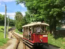 TW 100 fährt am 08.07.2018 in die Station Tennisplatz ein. Das Foto wurde aus einem Planzug (GM 8) heraus gemacht. Im letzten Moment wurde dem Fahrer offenbar bewusst dass eine außerplanmäßige Zugskreuzung bevorsteht. Er hat nämlich bereits zur Weiterfahrt Richtung Bahnhof angesetzt und im letzten Moment wieder Richtung Station zurückgeschoben!