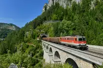 1142 658 mit einem Holzzug am 26.08.2017 bei Breitenstein. 