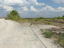 Ein ausgedienstes Gleis am 09.08.2018 in Erfurt Gbf.