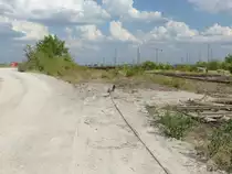 Ein ausgedienstes Gleis am 09.08.2018 in Erfurt Gbf.