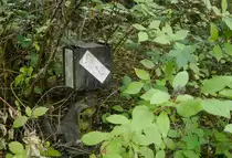 Spurensuche Wülfrath II: Weichensignal (14.8.18).