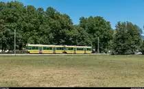 TransN Littorail Be 4/4 504 und Bt 552 verlassen am 12. August 2018 die Haltestelle Bas-des-allées in Richtung Boudry.