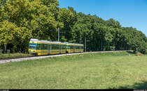 TransN Littorail Be 4/4 502 und Bt 554 am 12. August 2018 auf der Steigung zwischen Bas-des-allées und Colombier.