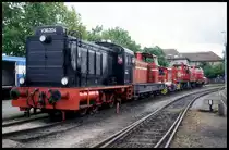 V 36204 vor diversen Loks der BE bei der Fahrzeugschau der Bentheimer Eisenbahn in Nordhorn am 21.5.1995.