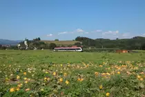 Wies Markt an diesem sonnigen 19.August 2018.
Die Plutza im Endspurt .
