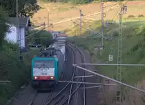 Die Cobra 2831 kommt die Gemmenicher-Rampe hochgefahren aus Aachen-West mit einem Containerzug aus Verona(I) nach Antwerpen-Combinant(B) und fährt gleich in den Gemmenicher-Tunnel hinein und fährt in Richtung Montzen/Vise(B). 
Aufgenommen in Reinartzkehl an der Montzenroute. Am Abend vom 8.8.2018.