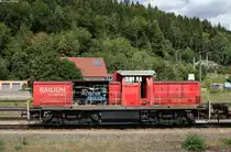 Tag der offenen Tür bei 294 868-5 in Immendingen 11.8.18