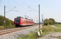 DB Regio 425 215 // Böhl-Iggelheim // 22. August 2018