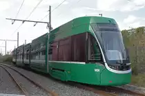 Am 21.08.2018 ereignete sich eine schwere Kollision beim Bahnhof Saint Louis. Dabei entgleiste der Be 6/8 Flexity 5034 und wurde massiv demoliert. Die restlichen fünf Teile wurden auf das neue Gleis, das später vom Bahnhof Saint Louis weiter führen soll, abgestellt. Die Aufnahme stammt vom 22.08.2018.