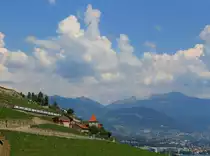 Aufstieg - Die wegen Bauarbeiten via Vevey umgeleiteten Züge Fribourg - Genève auf der Lokallinie durch die Rebberge bei Chexbres. Unten am See die Stadt Vevey. Zwei Doppelstockzüge Serie 511. 2. August 2018 