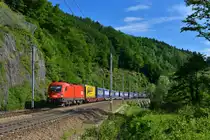 1116 131 mit einem KLV am 03.06.2017 bei Ingling. 