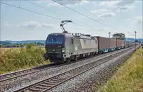 193 247 ist am 16.08.2018 bei Pölling mit einen Containerzug unterwegs.