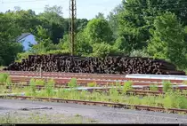 Blick auf zahlreiche Holzschwellen im Bahnhof Halle-Nietleben, die im Zuge von Gleisbauarbeiten zwischen dem Hp Halle-Neustadt und Halle Zscherbener Straße abgelegt wurden.
[25.5.2018 | 17:44 Uhr]