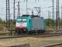 LINEAS E186 219 am 25.08.2018 in Großkorbetha.