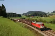 232 241-0 mit dem EZ 45192 (Hall in Tirol-Bludenz) bei Oberstaufen 21.8.18