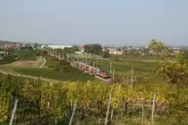 Beginnende Herbststimmung in den Weinbergen rund um Pfaffstätten und Gumpoldskirchen,wo 1144.032 mit ihren Reg.fährt. 21.9.18