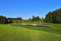 185 590 mit DGS 44997 am 21.09.2018 bei Axdorf. 