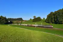 185 590 mit DGS 44997 am 21.09.2018 bei Axdorf. 