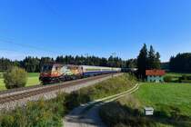 185 602 mit 19790 am 21.09.2018 bei Ufering. 