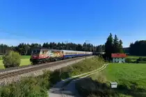 185 602 mit 19790 am 21.09.2018 bei Ufering. 