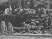 Ein RE unterwegs entlang des Rheines hinter Remagen. (August 2018)