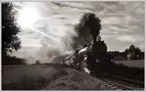 310.23 vom Eisenbahnmuseum Strasshof war am 22.9.2018 mit der Nummer ihrer Schwester 375 007, die im Museum in Prag steht, unterwegs. Nedabyle (ca. 7 Kilometer vom Bahnhof Budweis entfernt)
