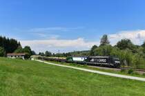 185 573 + 193 730 mit DGS 46679 am 15.07.2018 bei Vilshofen. 