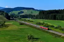 Den regulär über die Allgäubahn fahrenden EC 196 nach Zürich HB konnte ich am 04. August 2018 in der langen Geraden hinter Oberstaufen ablichten. An diesem Tag führten 218 452 und eine Schwestermaschine den mit sechs Wagen recht kurzen Zug. 