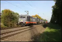 Hectorrail 241.005 kommt hier mit ihrem Container Zug in Richtung Münster fahrend am 9.10.2018 um 15.58 Uhr durch die Bauernschaft Lengerich Schollbruch.
