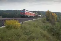 233 662 mit einem Güterzug Richtung Hof Hbf bei Marktleuthen, 29.09.2017