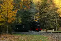 Das Meppel dampft mit dem P 14117 durch den Wald.