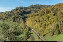 BLS Re 4/4 191  Reichenbach , vermietet an die CJ, am 12. Oktober 2018 mit einem Zuckerrübenzug Alle - Delémont bei St-Ursanne.