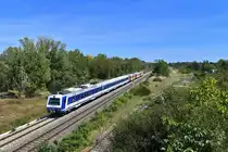 4020 280 am 12.08.2018 bei Strasshof an der Nordbahn. 