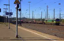 Die Class 66 266 031-4 von Railtraxx fährt mit einem Schinenzug aus Österreich nach Belgien bei der Ausfahrt aus Aachen-West in Richtung Montzen/Belgien. 
Aufgenommen vom Bahnsteig in Aachen-West.
Bei Sommerwetter am Nachmittag vom 26.9.2018.