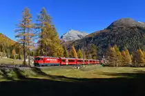 Ge 4/4 III 647 mit einem IR am 21.10.2018 bei Bever.