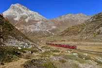 ABe 4/4 III 52 + ABe 4/4 III 54 mit BEX 975 am 21.10.2018 bei Bernina Lagalb. 