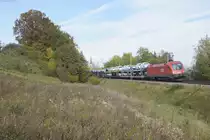 1116 193 mit einem VW-Autotransportzug bei Fahlenbach Richtung München, 21.10.2017