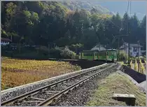 Herbstzeit, dies ist für mich auch die Saison der Gegenlichtbilder, um die leuchtenden, bunten Farben in Szene zu setzen.
Der aus Bt 434 und BDe 4/4 403 bestehende ASD Regionalzug 433 in den Weinbergen oberhalb von Aigle.

26. Oktober 2018