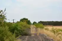 Seit 2000 ist die Strecke Haldensleben - Eilsleben stillgelegt und die Natur holt sich Stück für Stück ihr gebiet zurück.

Haldensleben 21.07.2018