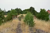 Seit 18Jahren stillgelegt. Seit 2000 ist die Strecke Haldensleben - Eilsleben stillgelegt und die Natur holt sich ihr Gebiet Stück für Stück zurück.

Haldensleben 21.07.2018