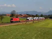 Die 1116 185 mit einem LKW Zugmaschinen Zug am 16.10.2016 unterwegs bei Straß.