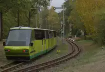 TW 299-010 fährt in den Haltepunkt Cottbus Zoo ein. 28.10.2018  12:44 Uhr.
