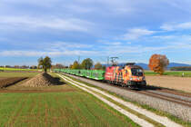 1016 048 mit DGS 49989 am 31.10.2018 bei Langenisarhofen. 