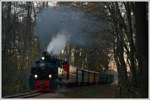 764-411R der Stainzer Bahn am 31.10.2018 im Wald zwischen Wohlsdorf und Kraubath aufgenommen. Das Auto schaut seit diesem Tag dementsprechend aus ;-)