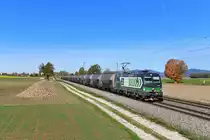 193 208 mit DGS 43981 am 31.10.2018 bei Langenisarhofen. 