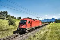 1216 145-3 fährt mit einem KLV, auf der Fahrt nach Fürnitz, bei Schlatten, nahe Rosenbach vorüber.
Aufgenommen am 28.8.2018.