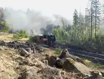 Am 10.Oktober 2018 hatte ich meinen inneren Schweinhund überwunden, der mir von einer Wanderung an einem Teil der Brockenbahn konsequent abraten wollte.Vorausgegangen war die Erkenntniss, das man auf einem Teil der Brockenstrecke rechts und links der Gleise Bäume entfernt hatte, die wohl auf die Gleise kippen konnten. Das wiederum ergab ganz andere Lichtverhältnisse und Motive, die ich nun unbedingt ausnutzen wollte. Gesagt, getan und ein Mann ein Ziel,auf ging es.
Wie geplant, hatte ich mich zum ersten geplanten Fotomotiv gequält, etwas oberhalb der Alten Bobbahn kam mir der erste Brockenzug des Tages hinter her gefahren.