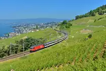 Re 460 048 mit einem IC am 16.06.2014 bei Grandvaux. 