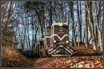 Der Streckenabschnitt Kraubath - Preding auf der Stainzer Lokalbahn ähnelt eher einer Waldbahn. 
Hier bei der Waldeinfahrt kurz nach Kraubath an diesem sonnigen 5.12.2015